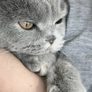 Meet your Posher, Fannie brett